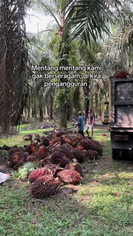 Bukan kah begitu ? #fyp#petanisawit#sawitontiktok#fypage#bossawit#kulisawit 