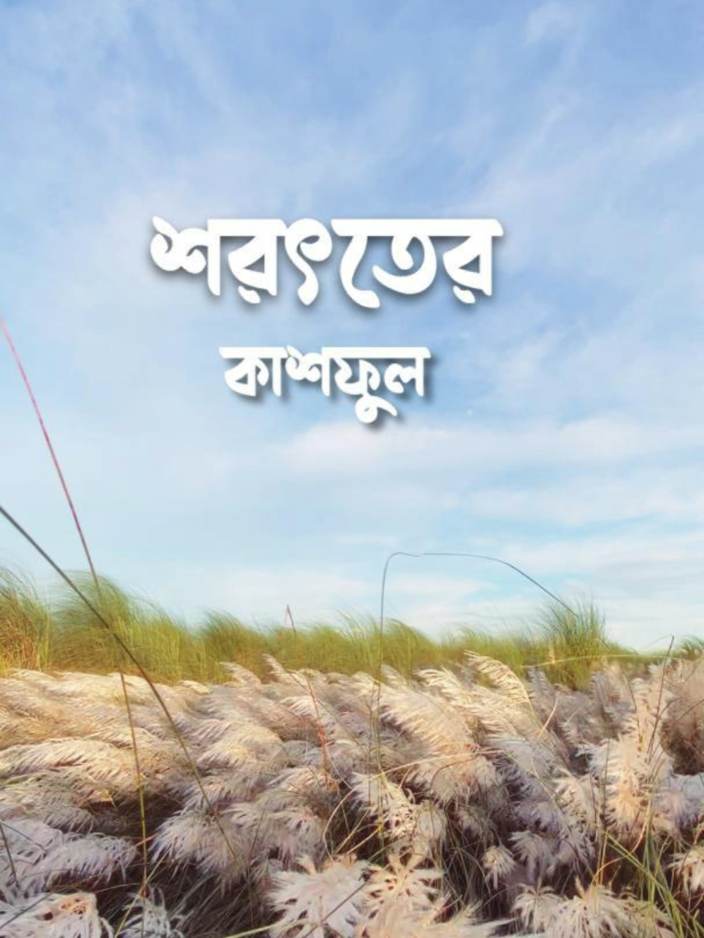 “কাশফুলের সাদা ছোঁয়ায় শরৎ লিখে যায় রূপকথা 🤍” 📍 নাগরিয়াকান্দি, নরসিংদী  . . . #প্রকৃতি  #শান্তি  #শরতের_গান  #কাশফুল  #শরৎ 