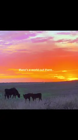 travel the world!💭🦋 feel free to leave a follow:) #cinematics #viral #filmmaking #nature #travel 