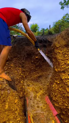 #goldenretriever #goldenretrieverlife #goldhunting #virlvideo #diamond 