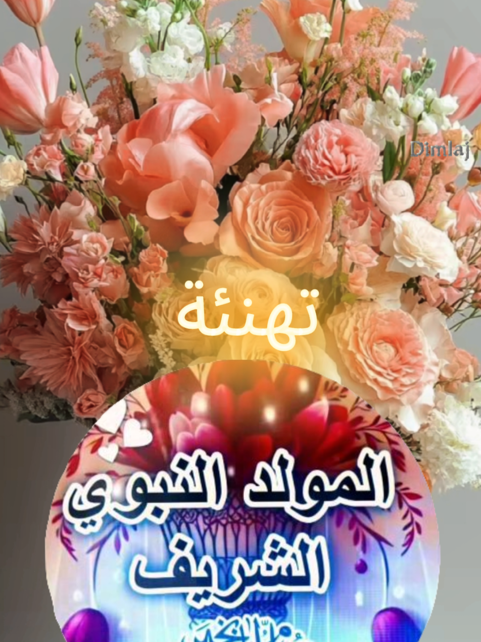 #eid_saeed #ترند #مولد_النبوي_الشريف_مبارك #ستوريات #صباح_الخير 