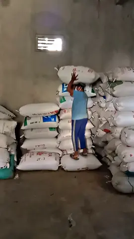 #MAKMUR JAYA 🌾 #vilartitok #bosmuda😎 #gabahbalap🌾 #indonesia🇮🇩 