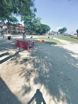 আমার যেদিন মৃত্যু হবে 🥹💔#foryoupageofficiall #foryoupage #TikTokBangladesh #pyfツviral #500kviews #foryou #pyfツviral_ #pyfツpageforyou #pyfツviral_ @TikTok Bangladesh @TikTok @Wonderlife @For You 