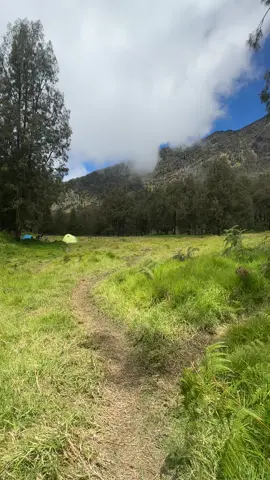 menikmati alam yang sesungguhnya 🍃🌳 #gunungwelirang #lembahkidang #arjunowelirangviatretes #fypage 