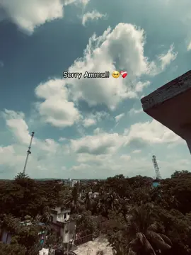 Sorry Ammu!! 🥺❤️‍🩹#ashik_naki #pic #trending #brokenheart #caption 
