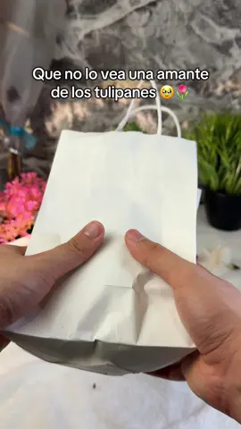 A quién le regalarías esta esfera de tulipanes? 🥺🌷 #tulipanes #regalo #regalospareja #pareja #lamparadetulipanes 