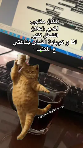 #CapCut #الشغل #foryou #ريبوست #مشاهير_تيك_توك 