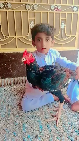 #sangitvideovirlkraso💫💫💫💫💫 