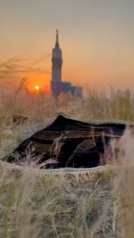 #creatorsearchinsights  Mashallah 🤲🤲🤲🤲🤲🤲🤲🤲