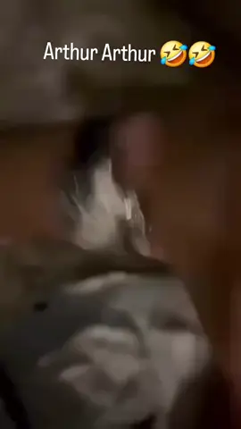 Arthur 🤦🏻‍♂️😅 #rolex #povv #soiree #arthur #pourtoii 