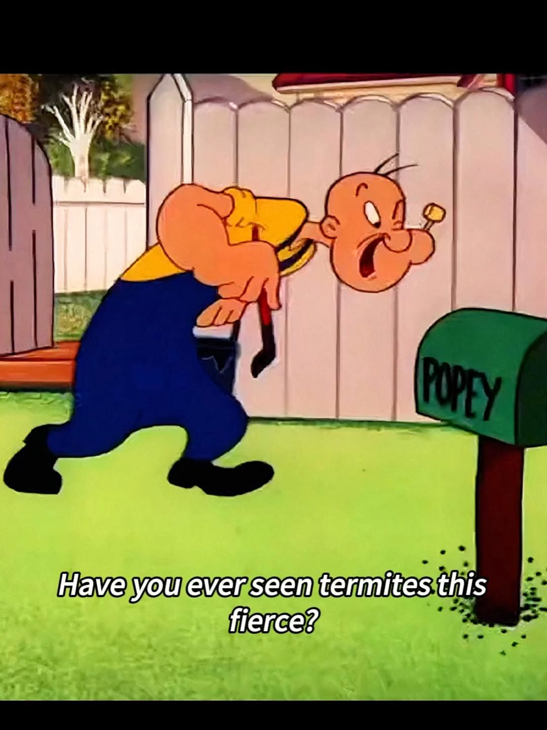 Bopai had just finished repairing his house when it was attacked by an army of termites. Then Bopai began his fight against them!#cartoons #usatiktok #Classic #movieclips #Bluto #films #Olive #popeye #animation #usa_tiktok #us_tiktok #fyp #foryour #tik_tok #funnyvideo #childhood #nostalgia #foryouage #usa #us