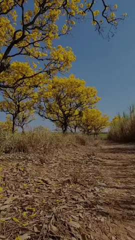 #CapCutMotivacional #CapCut #reflexaododia #Bomdia 