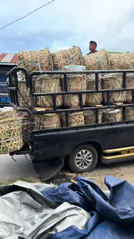 #kurirjeruk🍊 #l300_pickup #jerukmanis🍊 #drivermuda  