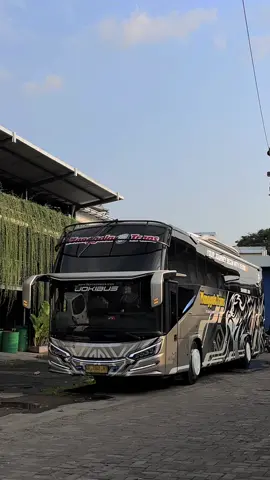 Pelari Celebes is Comeback🔥 #manggalatrans #allnewavanteh8 #scaniak360ib #comfortshifttransmission #busmaniacommunity 