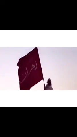 #زهران #زهران_العناصي #fyp #زهران_هامة_الازد #702 #الباحة #اكسبلور 