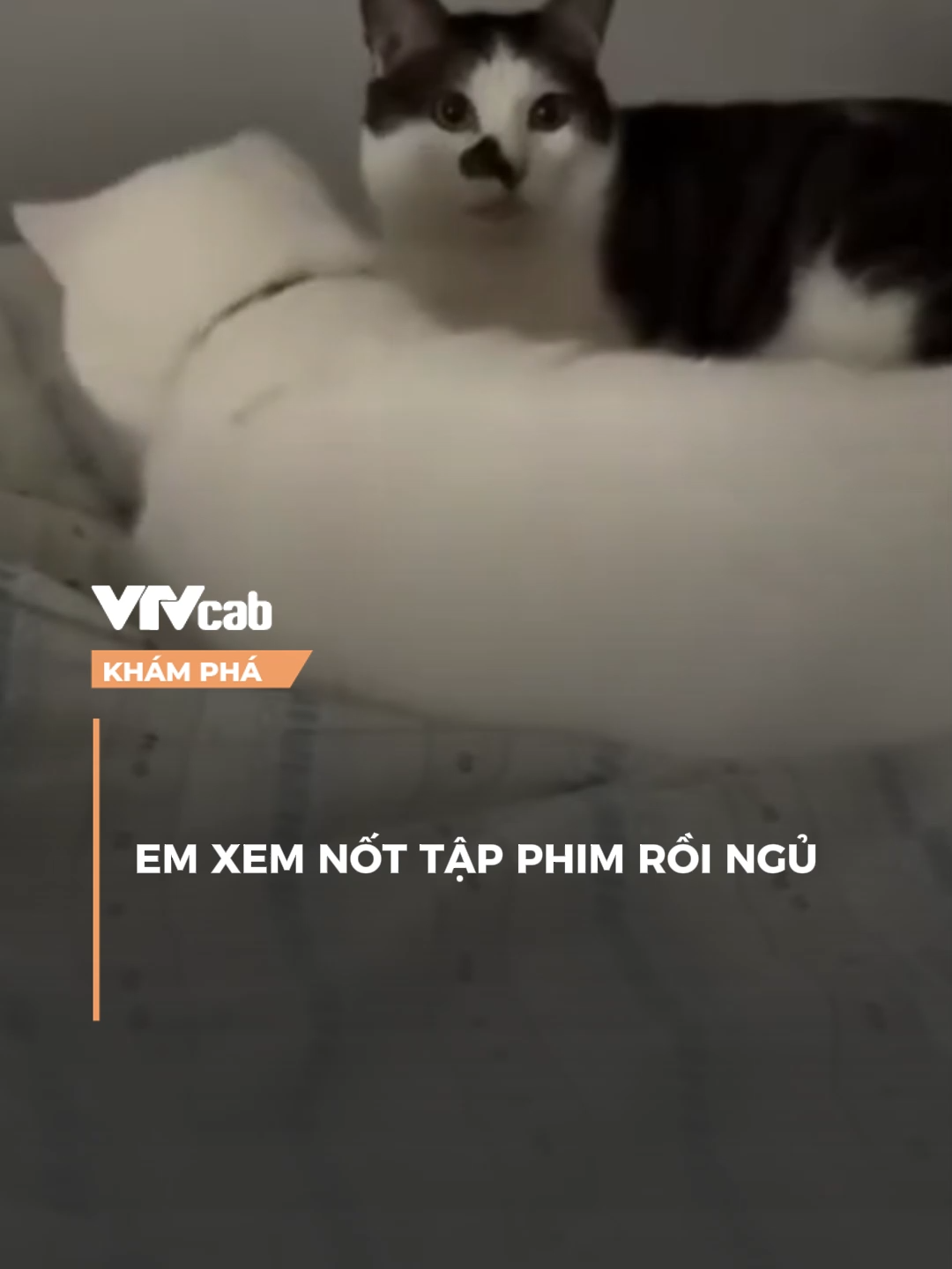 3h sáng rồi em ơi #vtvcab #khampha #vtvcabkhampha #onlive #nxt