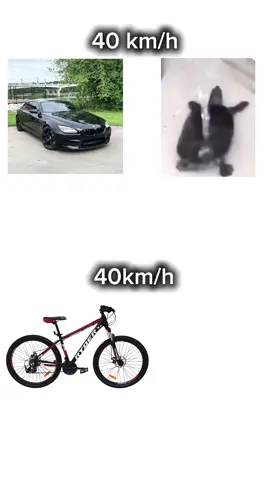 #CapCut 40km/h on car vs 40 km/h on bicycle #bugatti #chironedit #bmwm6 #bicycle 