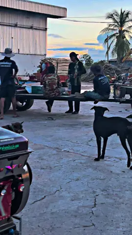 #CapCut #เอ็มคนล่าฝัน #รถไถเดินตามแต่งซิ่ง #ลุงฟิวบ้านสี่แยก #บ้านเคาะหวานเจี๊ยบ 