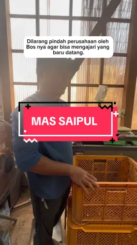 Mas Saipul asal Sragen, sudah tahun ke 6 di Jepang. Sosok sederhana, baik yang dilarang pindah Bosnya agar bisa mengajari teman-teman yang baru. #anakrantau #pejuangdevisa #kenshuseijapan🇮🇩🇯🇵🎌 #magangjepang #fyp @PakdeneJepang 