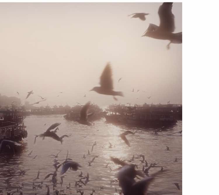 ta cần nhau #ningning 