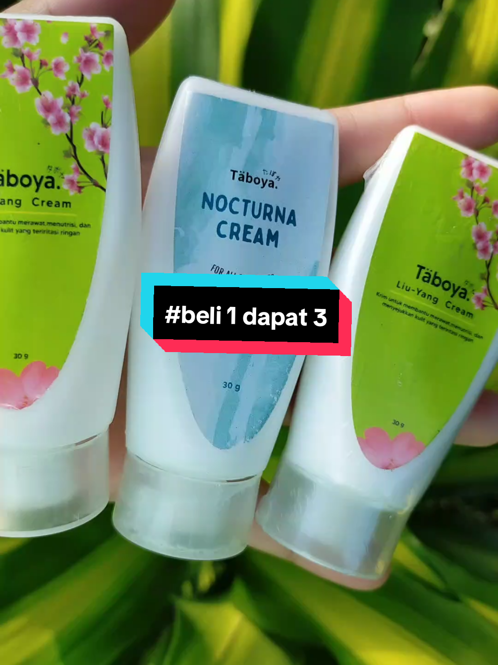 penghilang bekas luka #taboya #eksim #koreng #gatal #keloid 