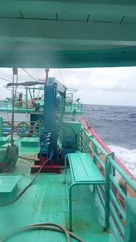 BANDAR 2023 FIGHT TEH OCEAN