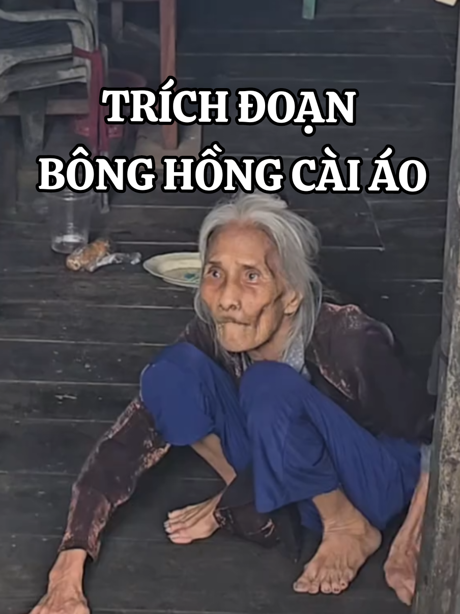 Trích Đoạn Cải Lương Bông Hồng Cài Áo 🌹 #Trichdoancailuong #phimxuavietnam #Cailuong #cailuongvietnam #Bachhoa #Bachhoaviet #Bachhoavietcom #Videothinhhanh #videotrieuview #xuhuongtiktok #videoxuhuong #Saigon #bachhoa_saigon #bachhoaphonui 