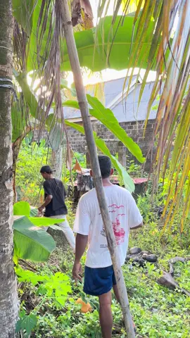 Maling 😂#fyp #omkobus #viraltiktok 