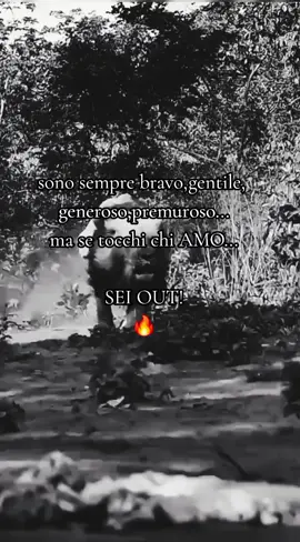 #bravo #gentileza #lion #🔥 #♌️ 