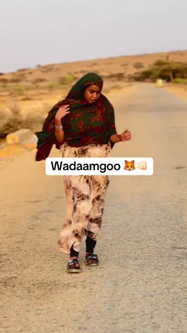 #burcotogdhersomaliland💚🤍❤️ #tiktokindia #muqdishotiktok🇸🇴🇸🇴❤ #soomaali_tiktok2021 #tiktoknews @KaamiLa madar cawil🦊♥️ 