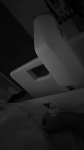 #explore #العناية_المركزة #اكسبلور #fyp #wow 