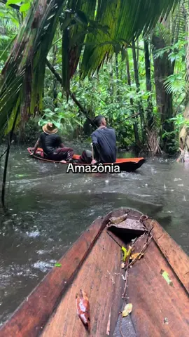 Amazônia #viral #amazonia 