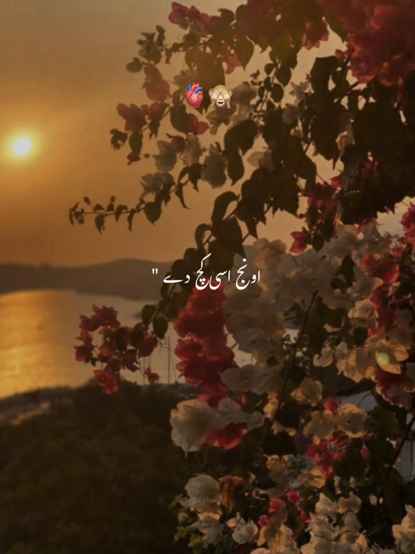 judge ban bni bethi ni tu#viral #song #lyrics #song #unfrezzmyaccount 
