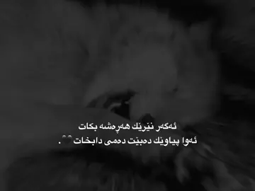 #foryou #fyp #rasty_lak ♥️🍁