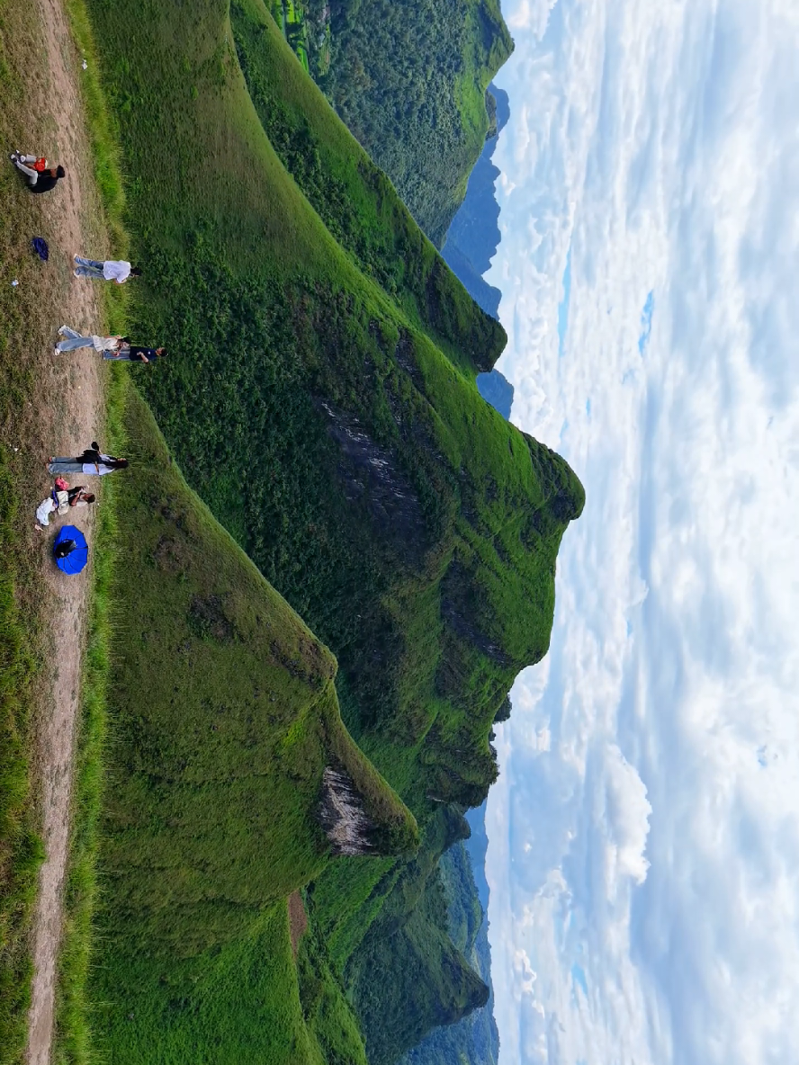 Đồi Cỏ Cháy Vinh Quý #hiepdidau #fyp #dulich #phongcanh #caobang 