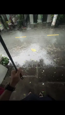 ta đâu có đoán được mai ra sao…