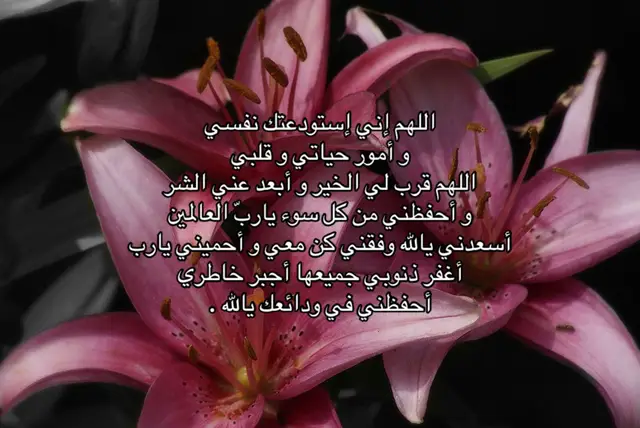 #explore #fyp #foryou 