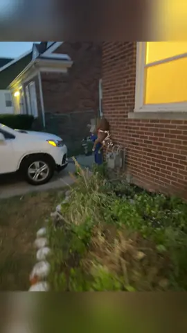 Dog Tries to Escape…Fails Hilariously #funny #dog #funnydog #cutedog #tiktok #dogsoftiktok #foryou 