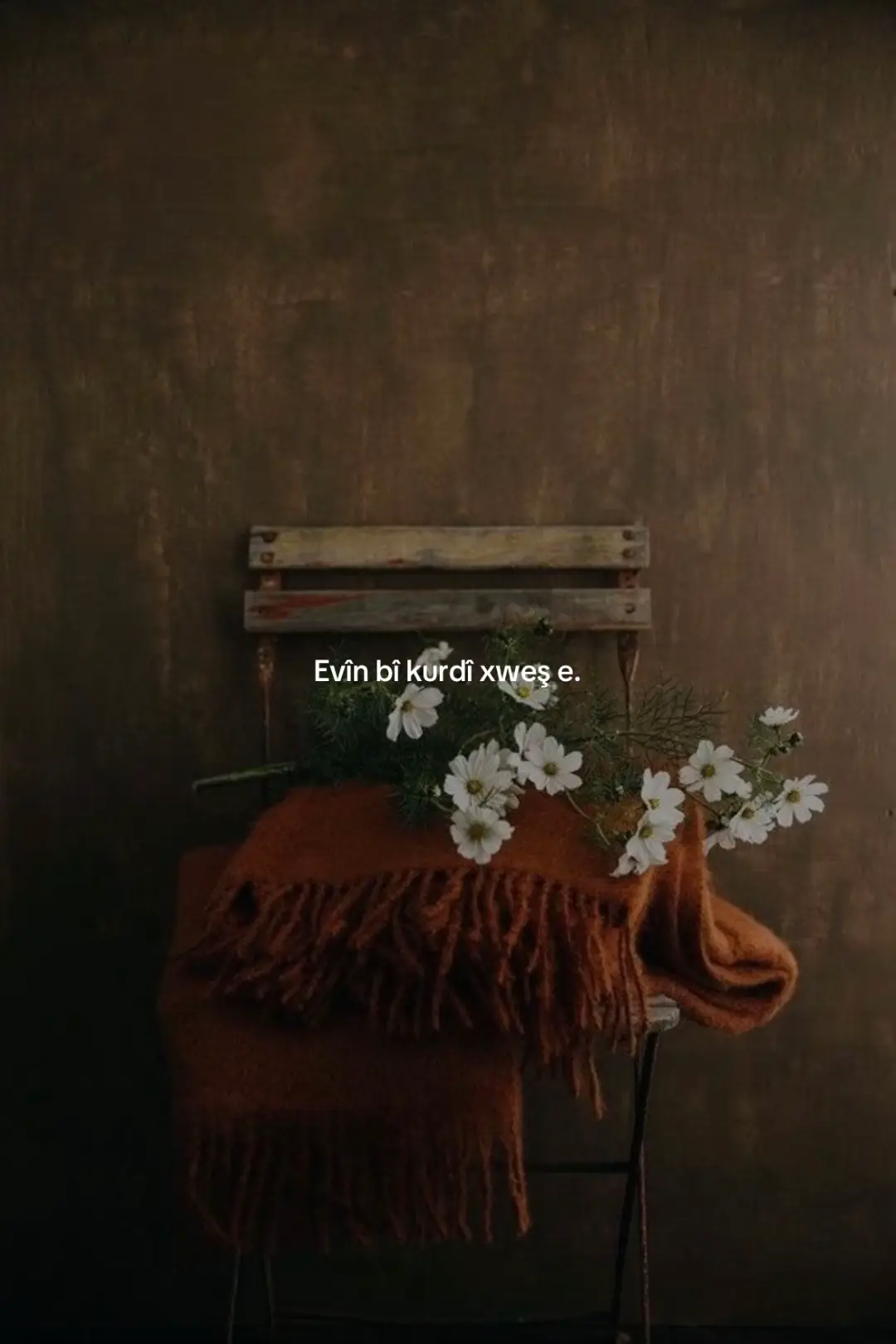 #kurdi #evin #çawente 