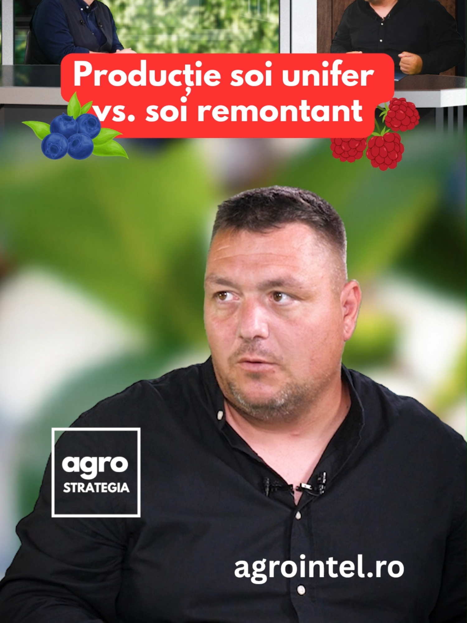 Gabriel Achim, Pepinierele Fundulea: Producție soi unifer vs. soi remontant #agrointeligenta #agrointelRO #stiriagricole #agrostrategia #agrointel
