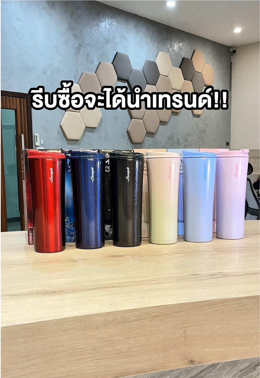 แก้วน้ำสุญญากาศมินิมอลหัวแถว🔥 ระยิบระยับราวกับดวงดาวบนท้องฟ้า
 
 ✨มีสีให้เลือกมากถึง 6 สี เข้าถึงทุกไลฟ์สไตล์ จุน้ำได้ 0.7 ลิตร จุก ๆ !!! 
 
 แกลม เริ่ด เชิ่ด!! ต้องแก้วใบนี้เลย
 🛒สนใจสินค้าสั่งซื้อได้เลย
 
 #seagullbrand #seagullkitchenware #ซีกัลแบรนด์ #TikTokmakemebuyit #แก้ว