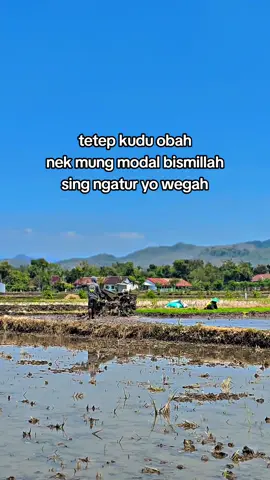 asekk🤪 #traktormaniaindonesia #traktor #teamnglukumadangbayaran 