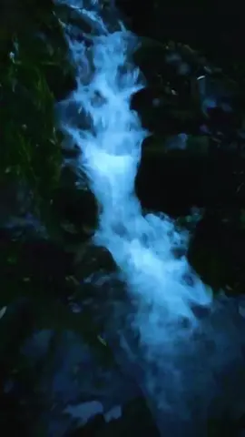 ##گوجری #گوجری_زبان #گوجری_کلچر # #گوجری_مھاری_پہچان #گوجری_گیت   ‏_آزار_کشمیر  آزاد کشمیر# ‏ 2022for‏ ‏you‏ ‏❤  ‏ ‏ @عظیم اعوان آفیشل ‏@Sobia-Rajaa‏ ‏@IrfanAliJamalioffical @Singer‏: گوجری گیت  بیت #  - مهاری_پہچان    گوجری_زبان#  ‏