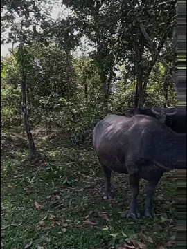 #fyppppppppppppppppppppppp 