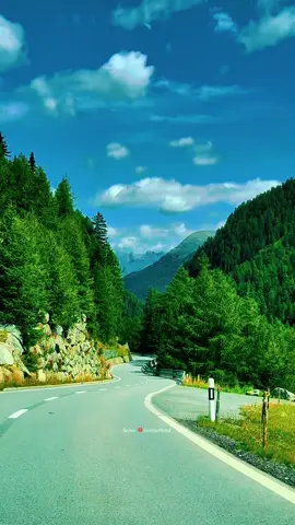 Beautiful Switzerland 🇨🇭🌲🌲🌲🏞️❤️#swisstravel #swissviews #naturebeauty #landscape #schweiz🇨🇭 