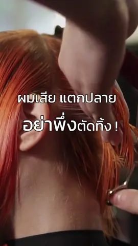 ผมเสียแตกปลาย อย่าพึ่งตัดทิ้ง!! #แทงกีโมรี #แชมพูสมุนไพร #DaengGiMeoRi #ผมสุขภาพดี #ผมแห้งเสีย 