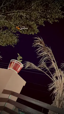 زندگي جيڻ ھر ڪنهن جي وس جي ڳالهه ناھي زندگي وڏي اذيت آھي ان ۾ انسان نظرانداز به ٿيندو آھي ته محبت ۾ مسمار به ٿيندو آھي ته پنهنجن جا تانا ميڻا به سحڻا پون ٿا ۽ انهن سڀني شين جو وزن ھ ڪيترائي ورهيه ٿيا آهن ته مون توکي ناهي ڏٺو، اها به خبر ناهي ته تنهنجي چهري ۾ ڪهڙيون تبدیلیون آیون آهن مون وٽ پیل تنهنجون سپ تصويرون جوانيءَمان ڪراڙيون ٿي چڪیون آهن ۽ تون مونکي ائين ياد اچي رهي آهين#abidaparveen #ABIDA #sindhicaption #fyppppppppppppppppppppppp 