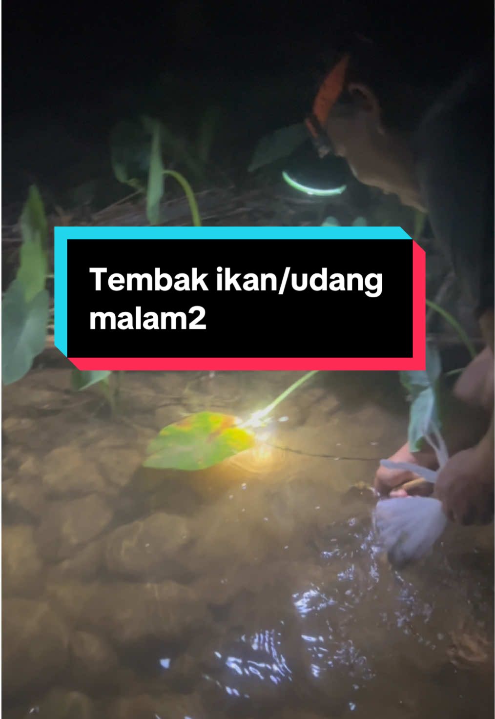 Membalas kepada @ironhide  malam lagi best senang dapat, walaupun sungai ni ada lintah pun tetap jugak on😂
