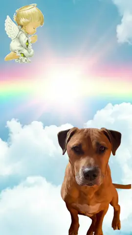 Уже два года без тебя😢#боль#тоска#пустота