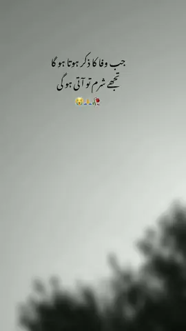 really 😭🙏#creatorsearchinsight #onemillionaudition #plz #urdupoetry #viral 